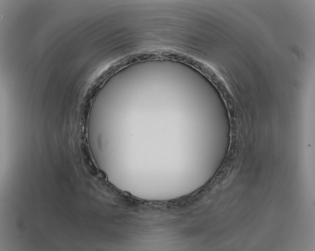 X0000114410871200910161029