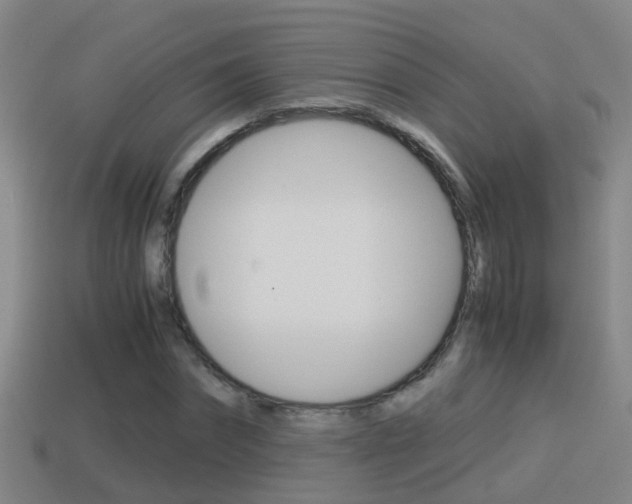 X0000114410874200910161029