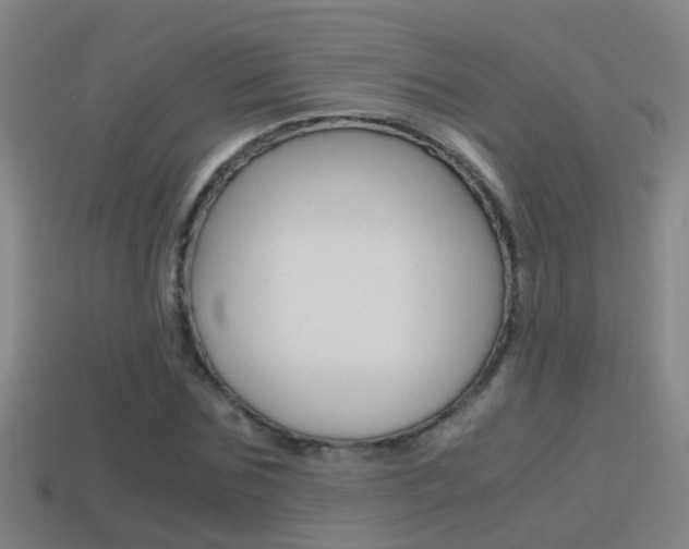 X0000114410875200910161029