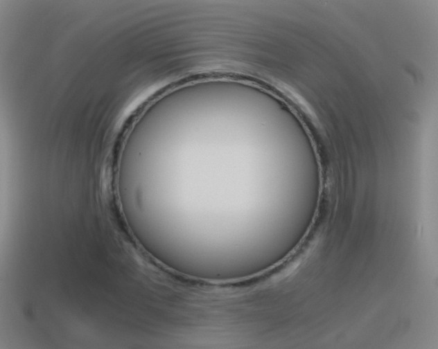 X0000114410877200910161029