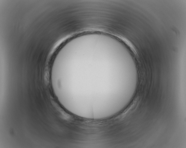 X0000114410878200910161029