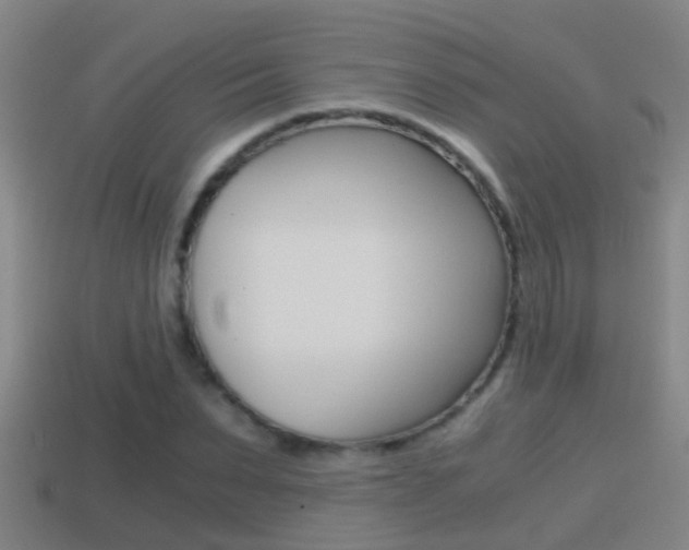 X0000114410879200910161029