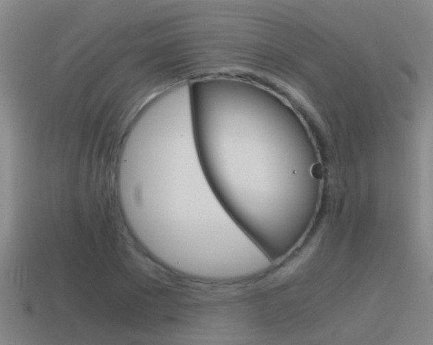 X0000114410881200910161029