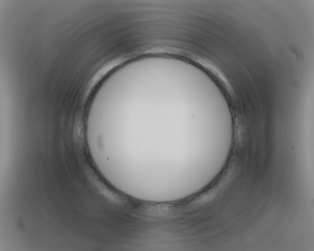 X0000114410882200910161029