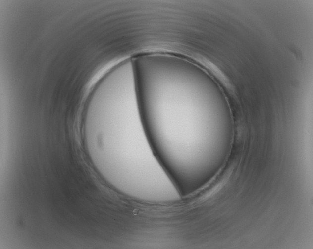 X0000114410885200910161029