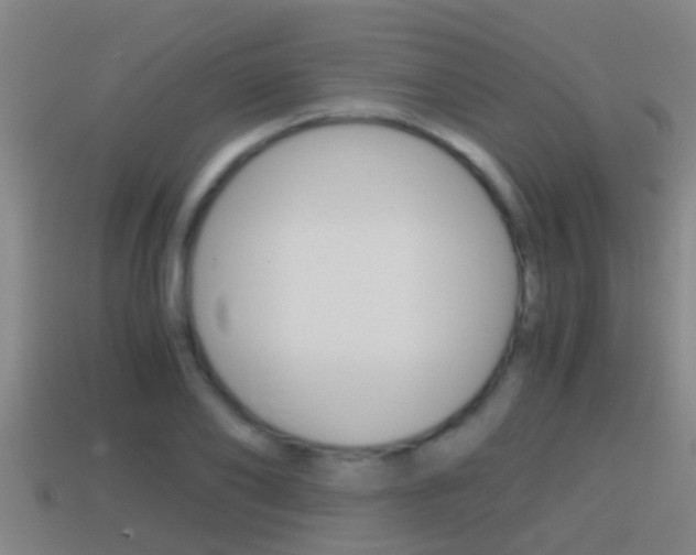 X0000114410886200910161029