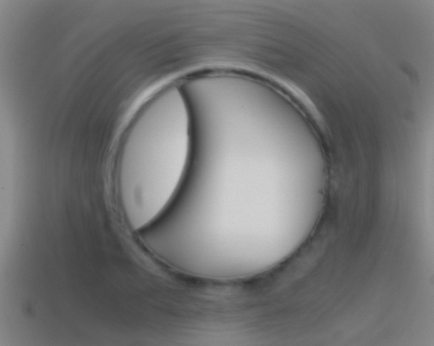 X0000114410887200910161029