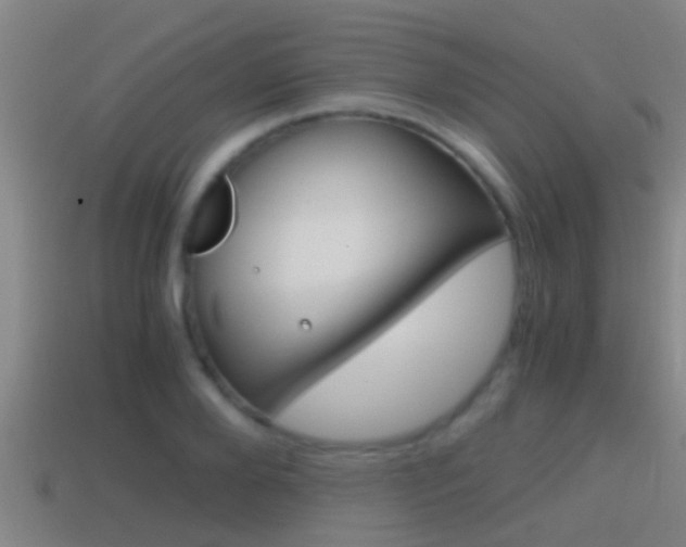 X0000114410888200910161029