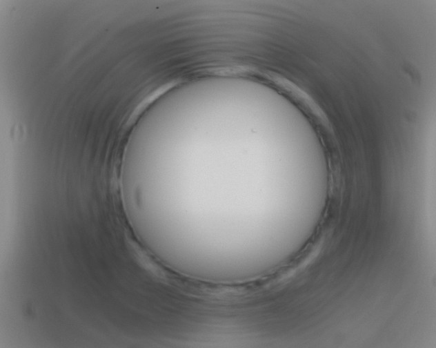 X0000114410889200910161029
