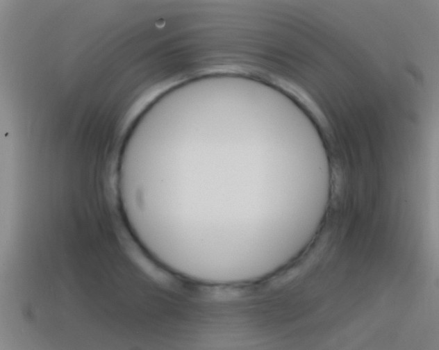 X0000114410890200910161029