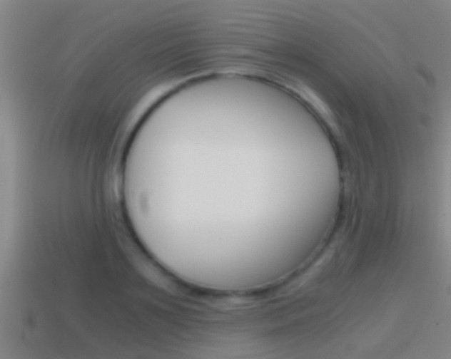 X0000114410891200910161029
