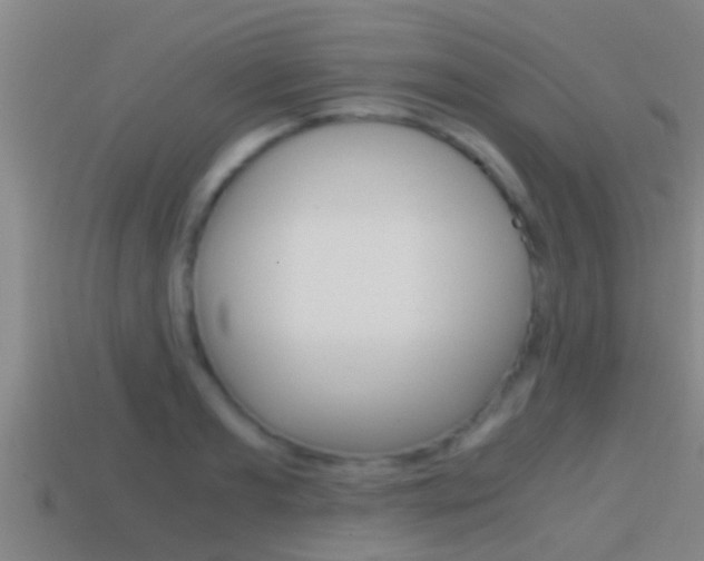 X0000114410893200910161029
