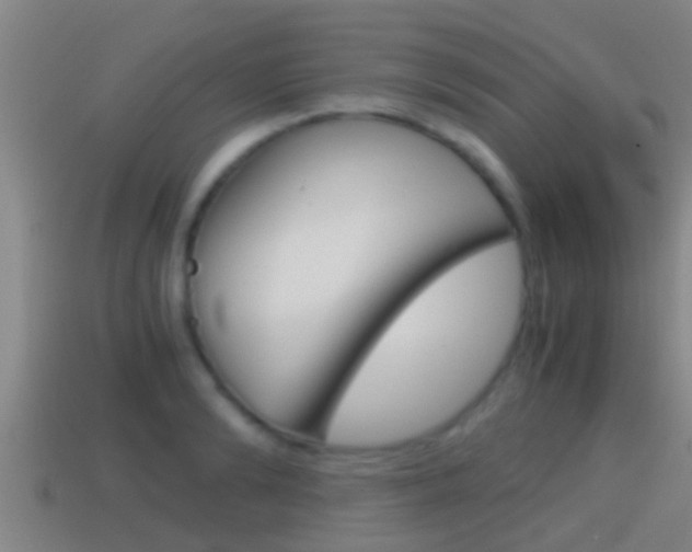 X0000114410894200910161029