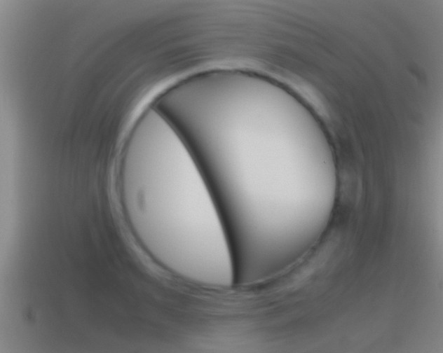 X0000114410895200910161029