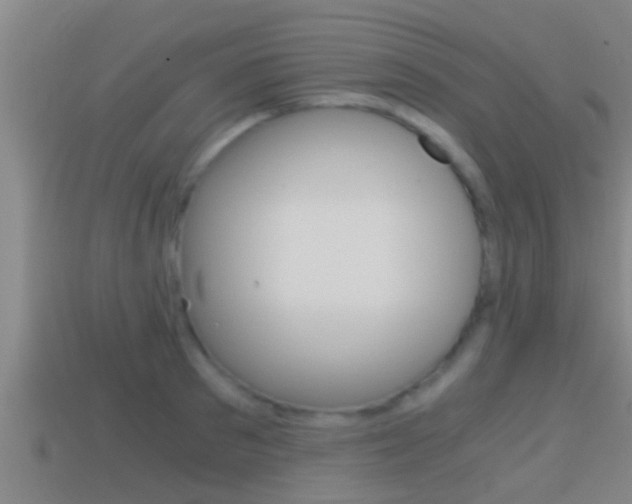 X0000114410897200910161029