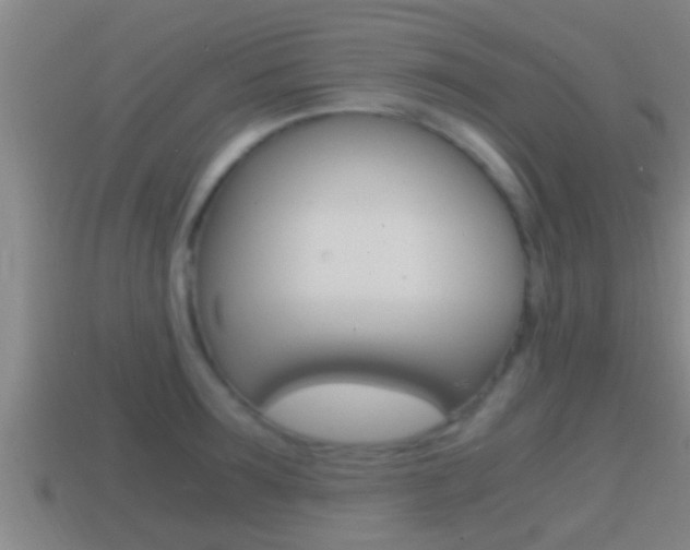 X0000114410899200910161029