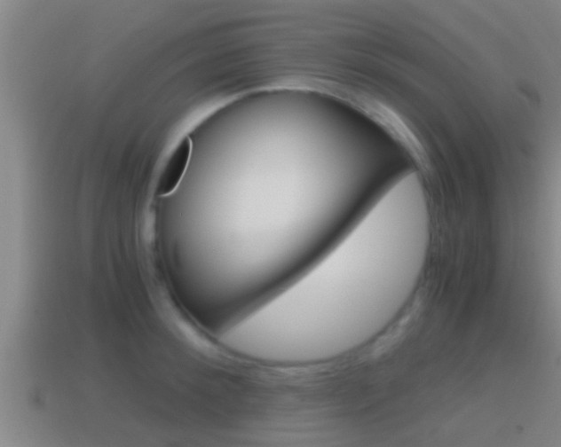 X0000114410900200910161029