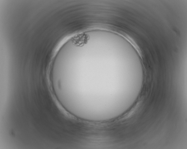 X0000114410901200910161029