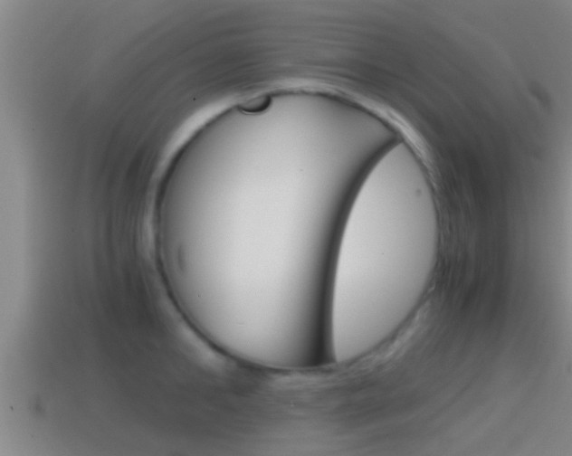 X0000114410902200910161029