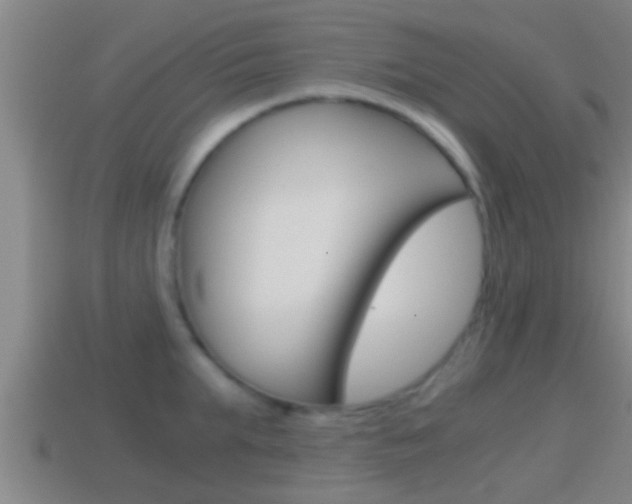 X0000114410903200910161029