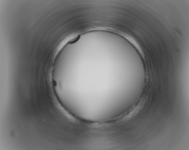 X0000114410906200910161029