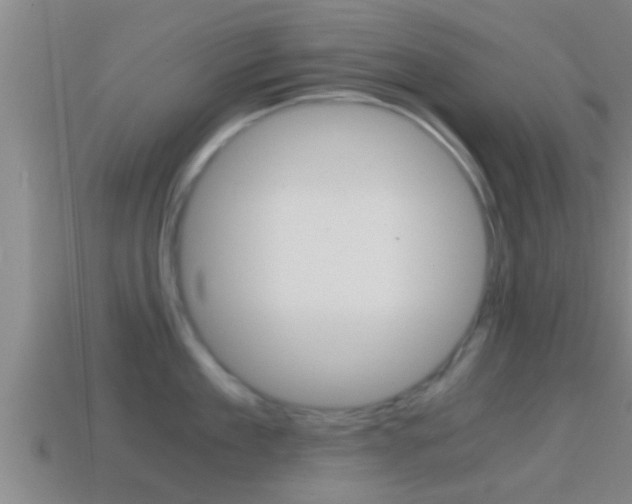 X0000114410909200910161029