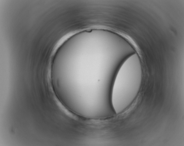 X0000114410910200910161029