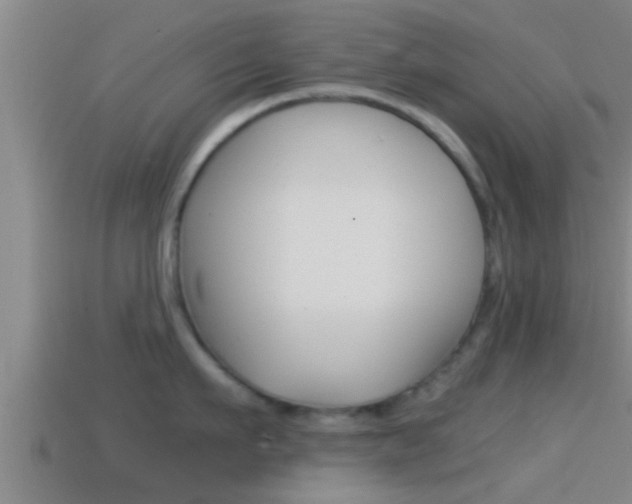 X0000114410911200910161029