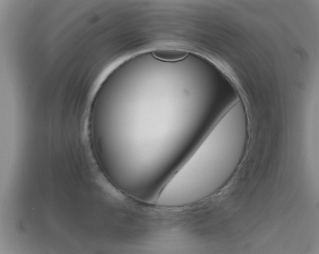 X0000114410912200910161029