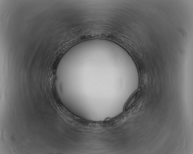 X0000114410914200910161028