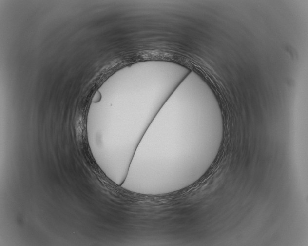 X0000114410915200910161028