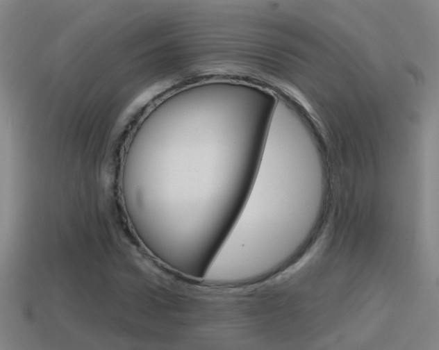 X0000114410922200910161028