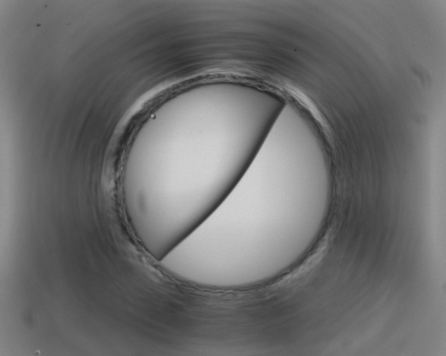 X0000114410923200910161028