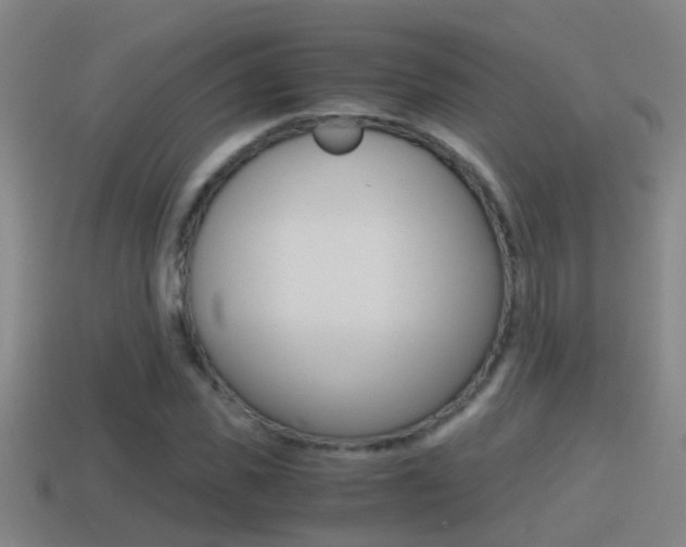 X0000114410925200910161028