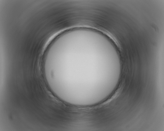 X0000114410926200910161028