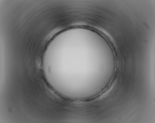 X0000114410929200910161028