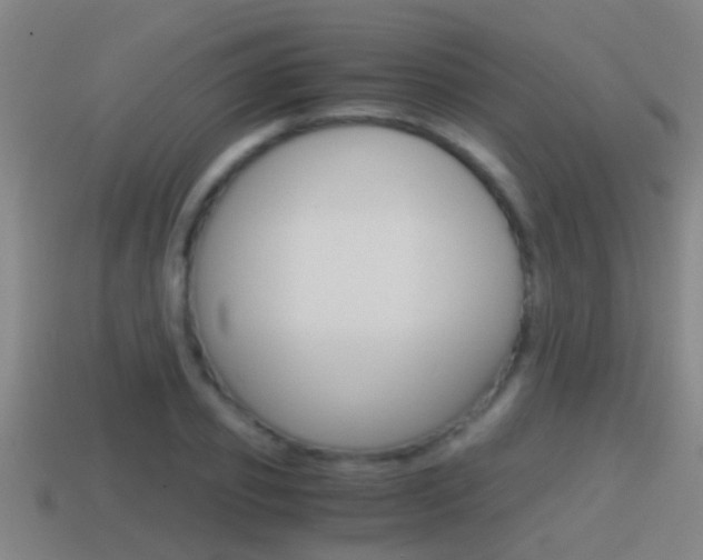 X0000114410933200910161028