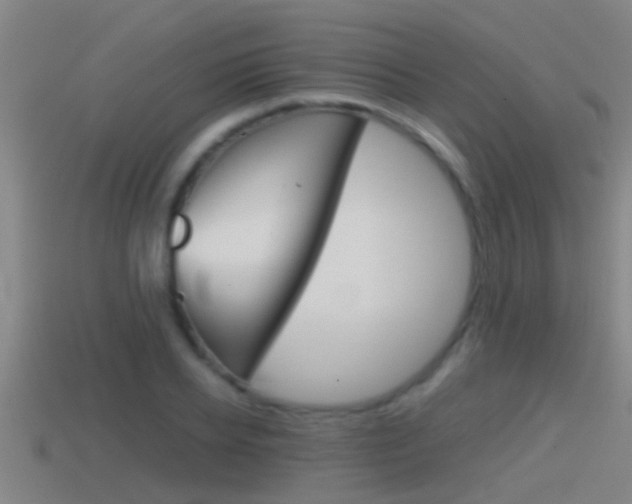 X0000114410934200910161028
