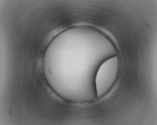 X0000114410937200910161028