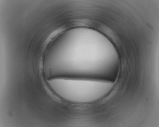 X0000114410938200910161028