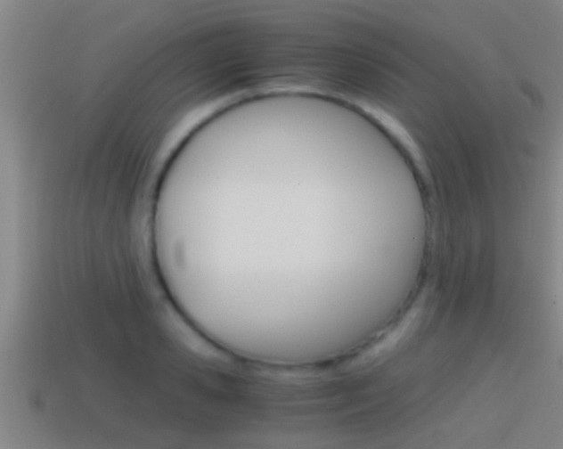 X0000114410941200910161028