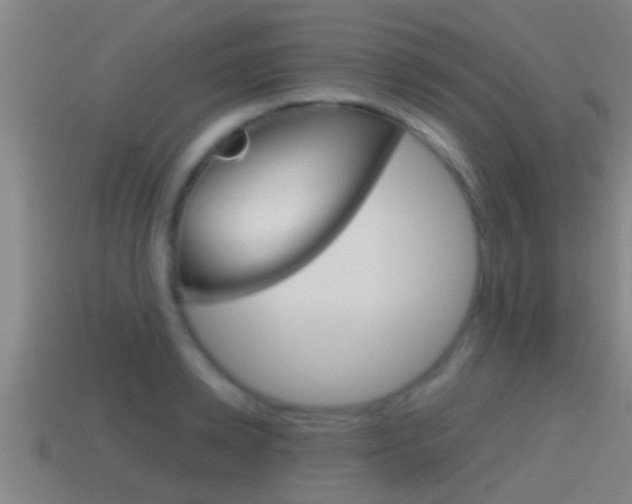 X0000114410942200910161028