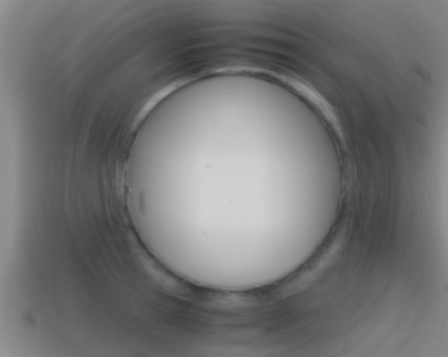 X0000114410945200910161028