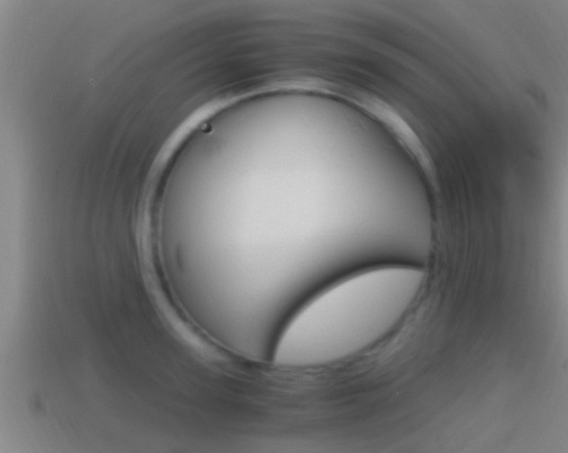 X0000114410947200910161028