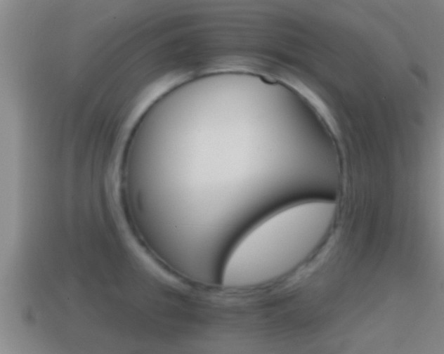 X0000114410949200910161028