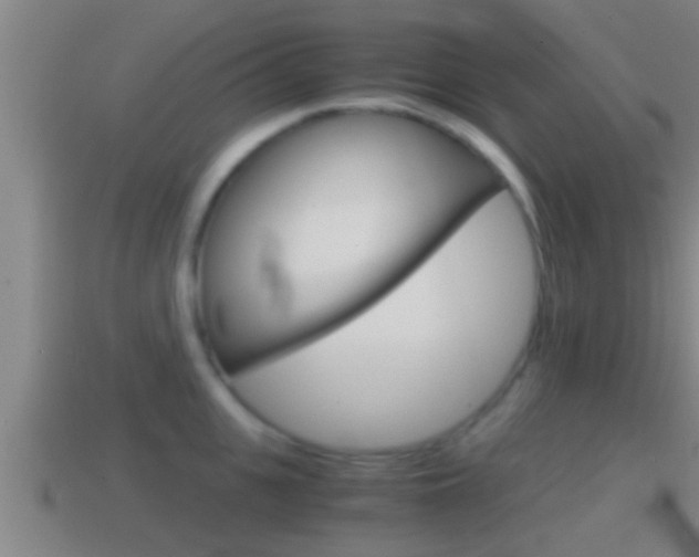 X0000114410951200910161029