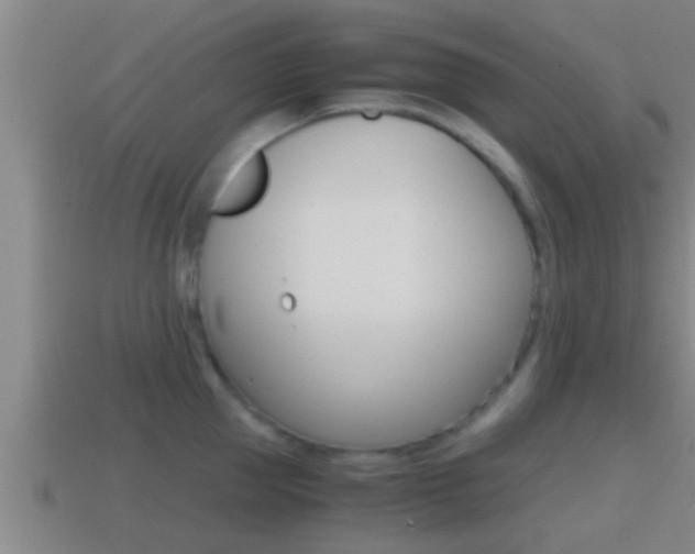 X0000114410953200910161029