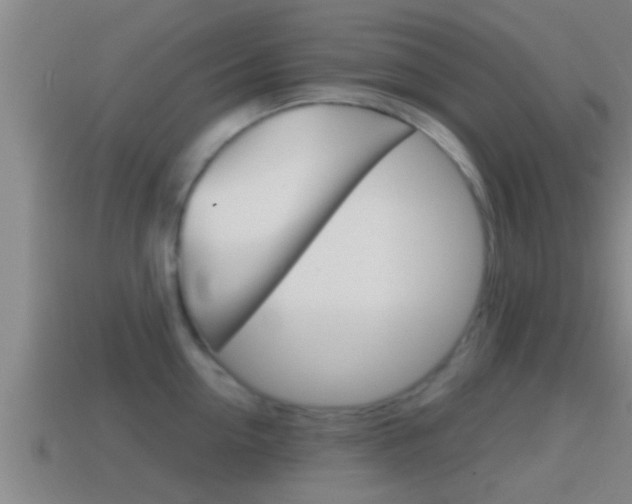 X0000114410954200910161029