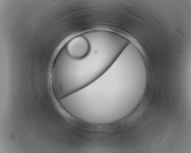 X0000114410955200910161029