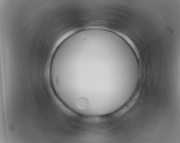 X0000114410957200910161029